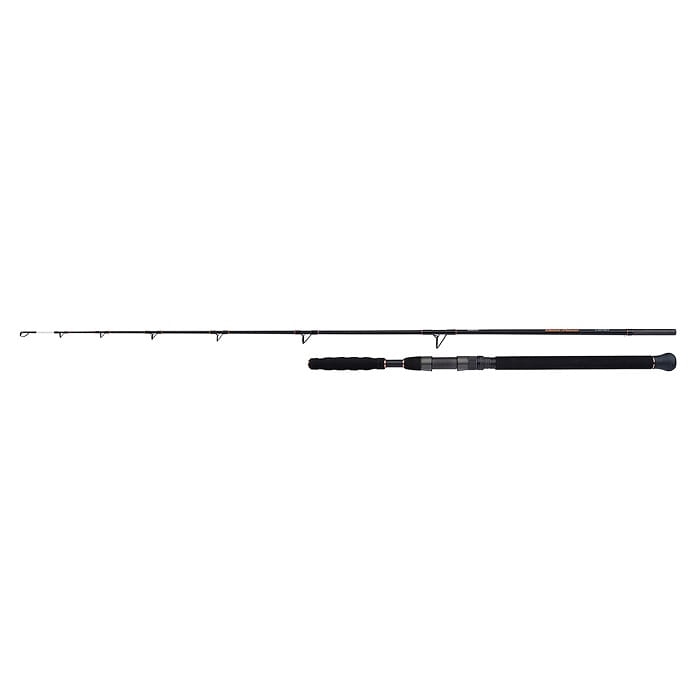 SHIMANO Beastmaster Catfish Vertic 1,85m 200g 1+1.jpg