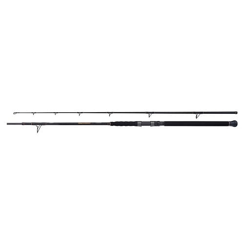 SHIMANO Beastmaster Catfish Multi Spin 2,30m 200g.jpg