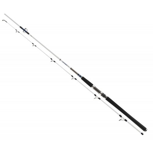 /environment/cache/images/productGfx_107932_700_700/Wedka-Daiwa-Grandwave-Pilk-2.40m-80-150g-2cz-S.1.jpg