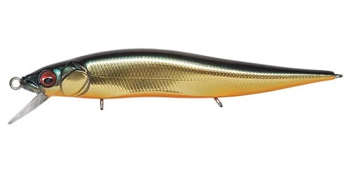 Wobler Vision Oneten JR M Champagne Kinkuro #3.jpg