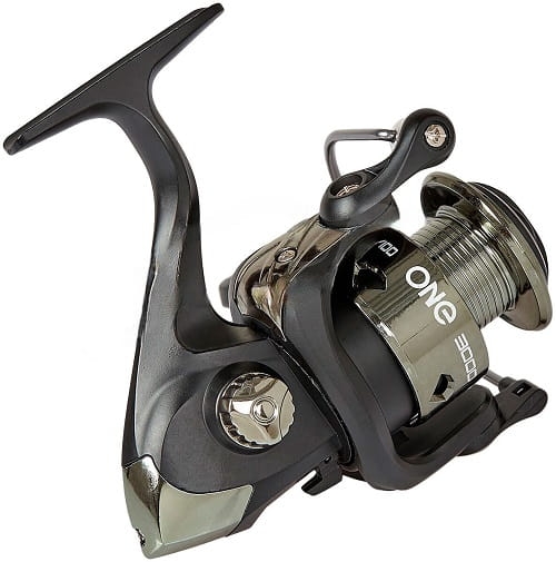 /environment/cache/images/productGfx_110078_700_700/Favorite-X-Fish-One.2.jpg