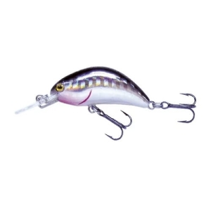 Wobler Robinson Tronx S40, 40mm Kolor S-SH, 4g