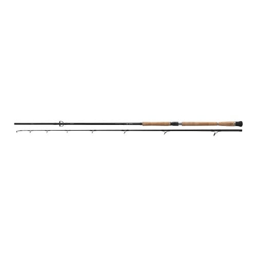 /environment/cache/images/productGfx_112448_700_700/Daiwa-DW-Pro-Staff-Catfish-2%2C60m-80-240g-2cz-S.jpg