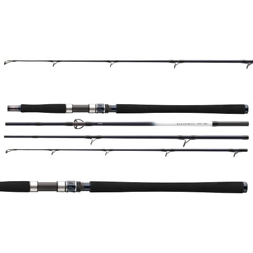 /environment/cache/images/productGfx_112608_700_700/Daiwa-Grandwave-2.25m-150-300g-4cz-S--2.jpg