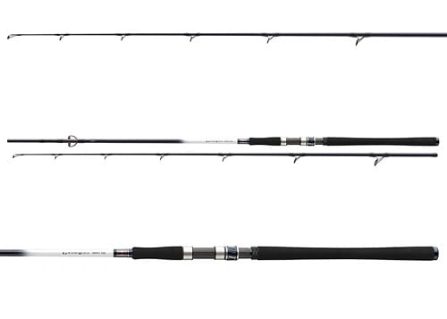/environment/cache/images/productGfx_112637_700_700/Daiwa-Grandwave-2.40m-150-300g-2cz-S-3.jpg