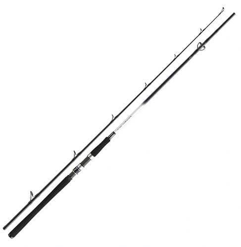/environment/cache/images/productGfx_112639_700_700/Daiwa-Grandwave-2.40m-150-300g-2cz-S.jpg