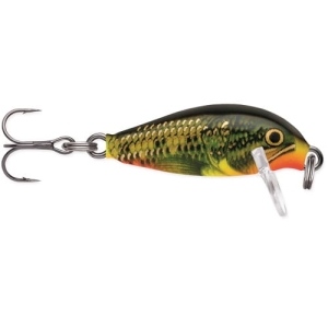 RAPALA Countdown 2,5cm CD01 FMN