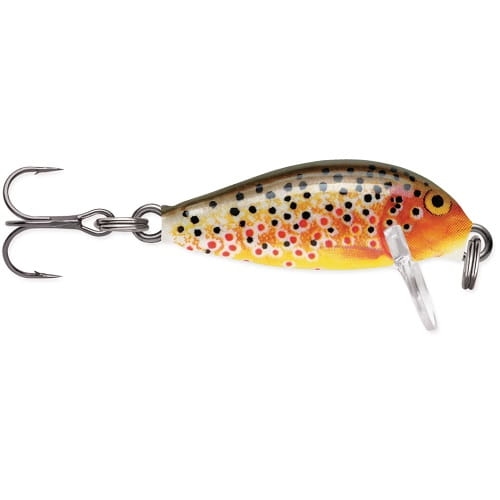 RAPALA Countdown 2,5cm CD01 TR.jpg