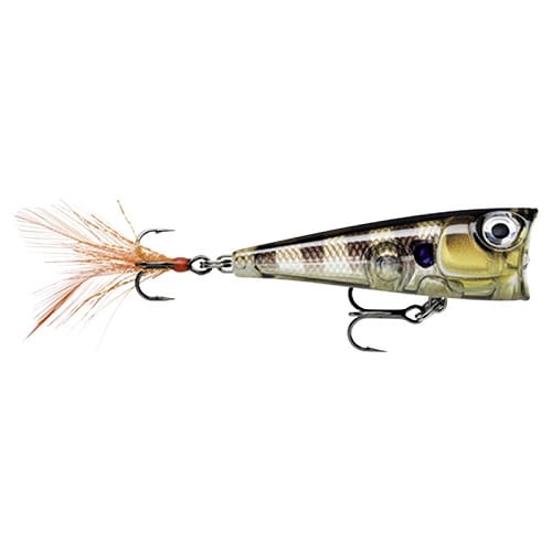 Wobler Rapala X-Light Pop FNP04 4cm GGIU.jpg