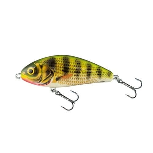 Salmo Fatso 14cm 85g FL HOLOGRAPHIC PERCH.jpg