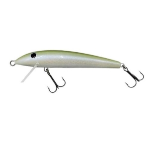 Gloog NIKE 100 9g Floating K:NPN