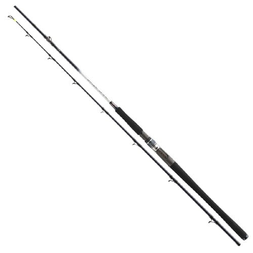 /environment/cache/images/productGfx_114572_700_700/DAIWA-Grandwave-BC-2.25m-30-40lbs-C-2.jpg