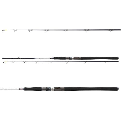 /environment/cache/images/productGfx_114573_700_700/DAIWA-Grandwave-BC-2.25m-30-40lbs-C.jpg