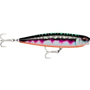 Rapala Precision Xtreme Pencil Exo 10,7cm TMN
