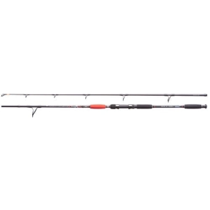 Jaxon Catfish E Spin&Troll 2,40m 160g 2cz