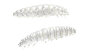 Libra Lures Larva 30mm Kryl Kol.4 15szt