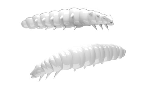 Libra Lures Larva Kol.1.jpg