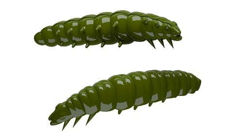 Libra Lures Larva Kol.31.jpg