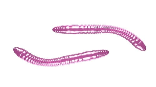 Libra Lures FATTY D'WORM 55mm Kol.18.jpg