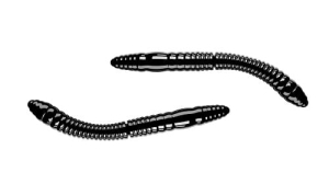 Libra Lures FATTY D'WORM 55mm Kryl Kol.40 12szt