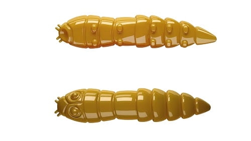 Libra Kukolka Kol.36.jpg