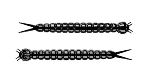 Libra Slight Worm 38mm Kryl Kol.40 15szt