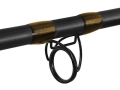 Delphin SymbolCAT Bronze.2.jpg