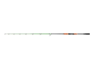 Delphin ARMAGEDON 170cm 205g 1cz S
