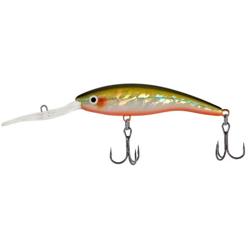 Select Basher 90F 90mm 14.0g #24 (max 4.0m).jpg