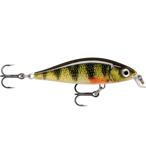 x light minnow pel.jpg