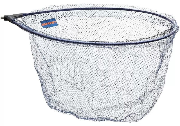 Brain Super Lite.jpg