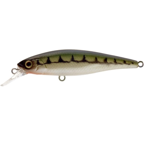 ILLEX Squad Minnow 65 SP RT Vairon.jpg