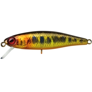 Wobler ILLEX Tiny Fry 50 SP HL Gold Trout