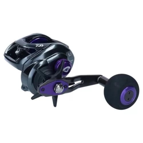 /environment/cache/images/productGfx_121360_700_700/daiwa-24-steez-sv-tw1.jpg