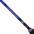 Rod-H2-SPIN-05.jpg