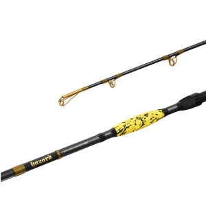 Delphin HAZARD BxG 255cm 505g 2cz S