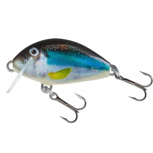 Wobler Salmo Tiny 3,0cm Holo Smelt FL