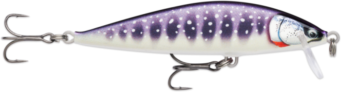 Rapala CountDown Elite 9,5cm 14g GDIV.jpg
