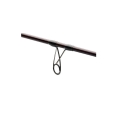 Wędka Savage Gear Salmonoid SG6 3,05m 9-32g 2cz S123.jpg