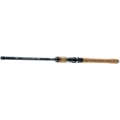 Daiwa Exceler Trad 2,40m 10-40g 2cz S12.jpg