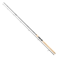 Daiwa Exceler Trad 2,40m 10-40g 2cz S1.jpg
