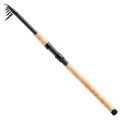 Daiwa Megaforce Tele 2,40m 7-25g12.jpg