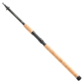 Daiwa Megaforce Tele 2,40m 7-25g1.jpg
