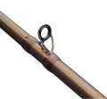 Abu Garcia Beast Pro II 2,59m 120-300g 2cz C123.jpg