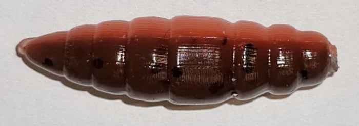 7764bb6786be60dc581af80d621e15d4