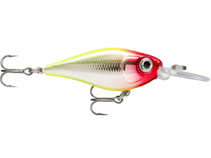 Rapala X-Light Shad 04 Clown.jpg