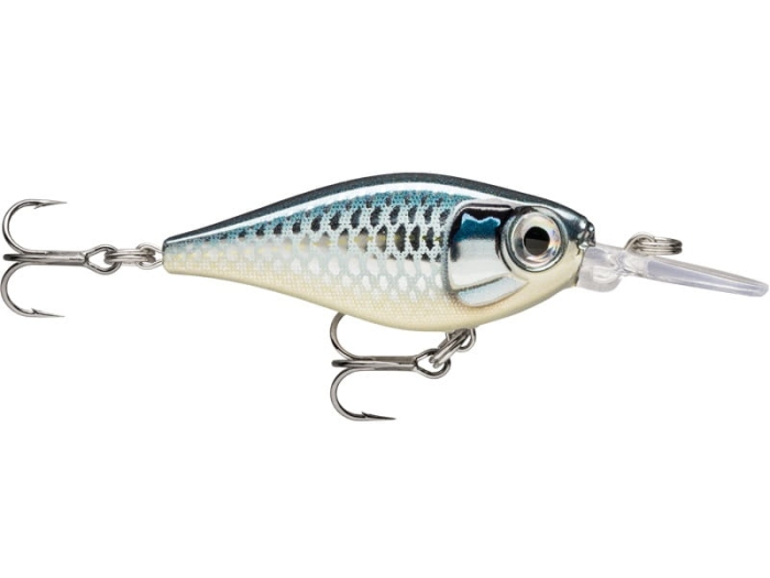 Rapala X-Light Shad 04 Baby Aspius.jpg