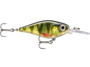 Rapala X-Light Shad 04 Live Perch