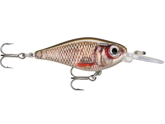 Rapala X-Light Shad 04 Live Roach.jpg