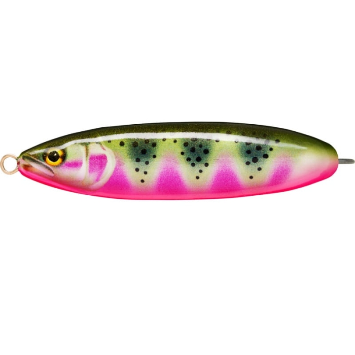 Rapala Minnow Spoon Weedless Artistic Rainbow.jpg